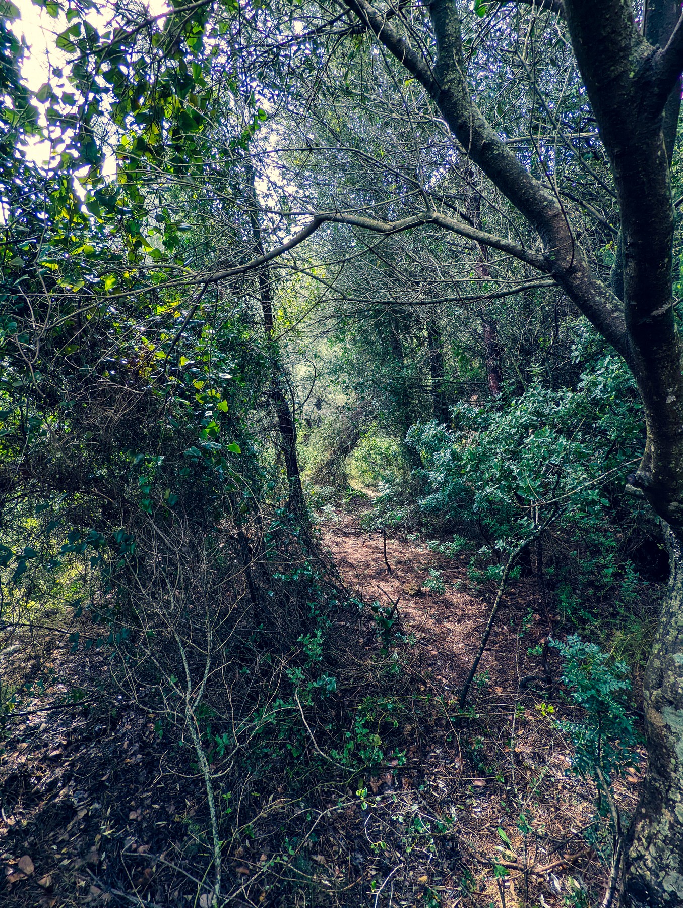 Local hiking Marxuquera